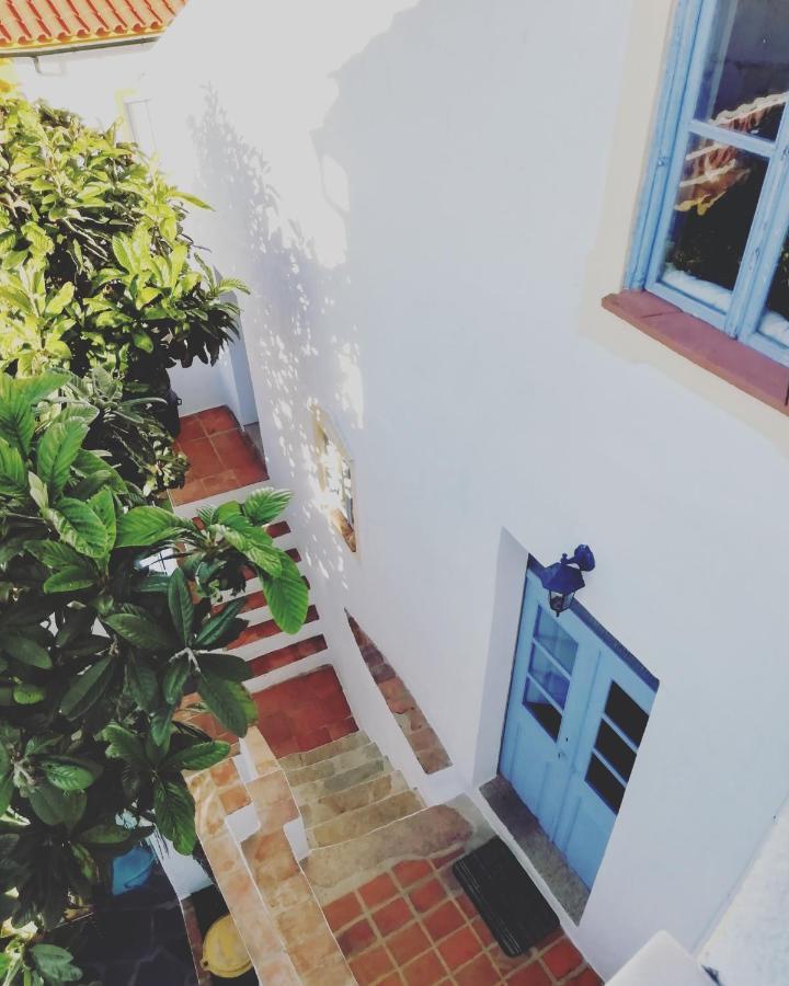 Casa Do Patio- Bed & Breakfast- City Center 波塔莱格雷 外观 照片