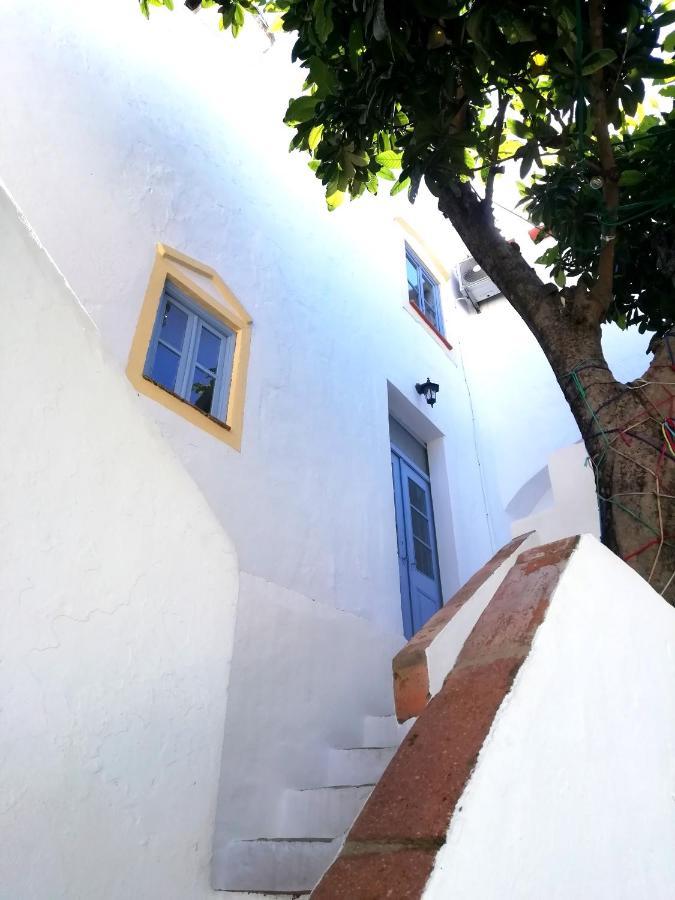 Casa Do Patio- Bed & Breakfast- City Center 波塔莱格雷 外观 照片